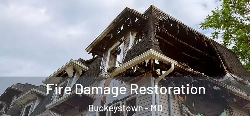  Fire Damage Restoration Buckeystown - MD