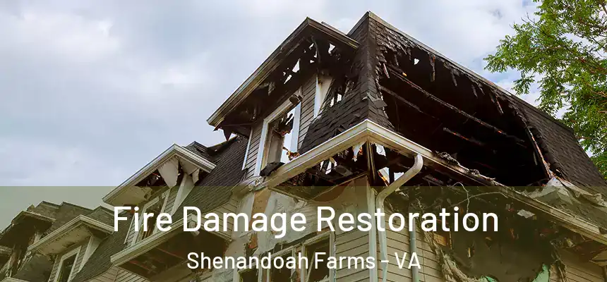  Fire Damage Restoration Shenandoah Farms - VA