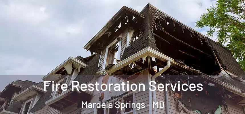  Fire Restoration Services Mardela Springs - MD