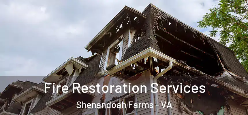  Fire Restoration Services Shenandoah Farms - VA