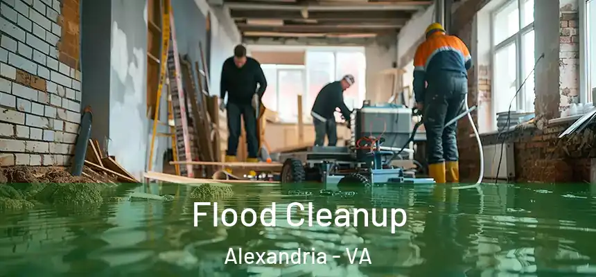  Flood Cleanup Alexandria - VA