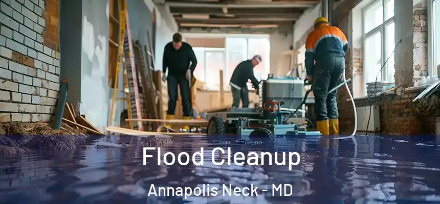 Flood Cleanup Annapolis Neck - MD