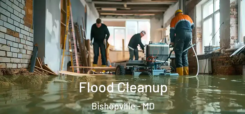  Flood Cleanup Bishopville - MD