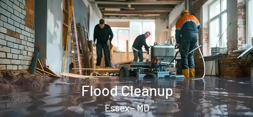Flood Cleanup Essex - MD