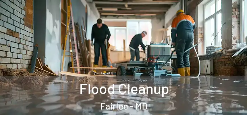 Flood Cleanup Fairlee - MD