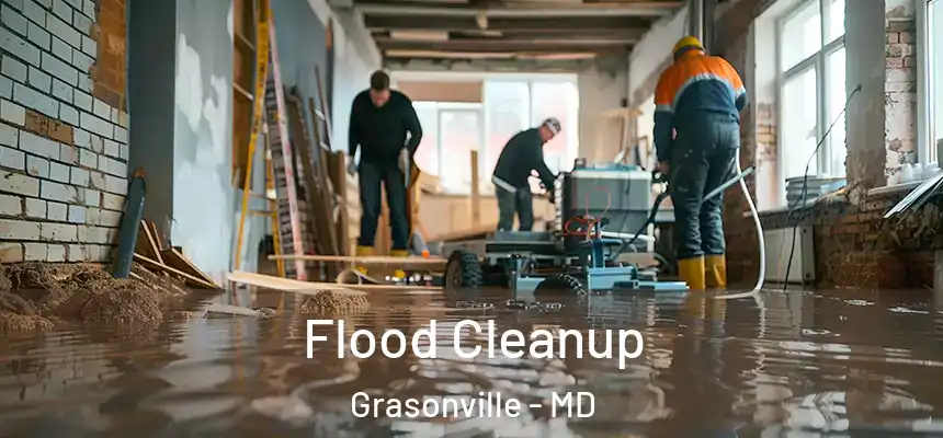  Flood Cleanup Grasonville - MD