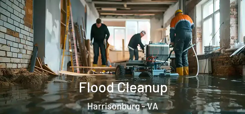  Flood Cleanup Harrisonburg - VA