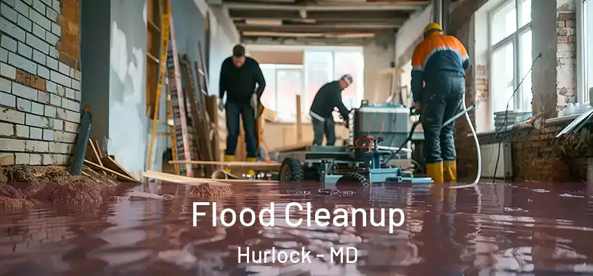  Flood Cleanup Hurlock - MD
