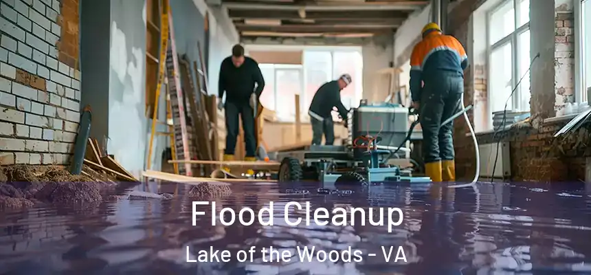 Flood Cleanup Lake of the Woods - VA