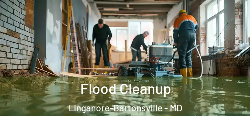 Flood Cleanup Linganore-Bartonsville - MD