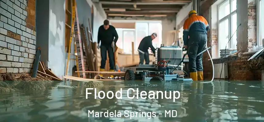 Flood Cleanup Mardela Springs - MD