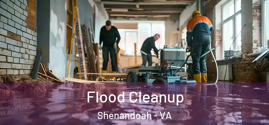 Flood Cleanup Shenandoah - VA
