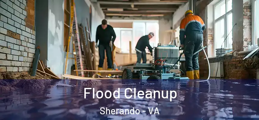  Flood Cleanup Sherando - VA
