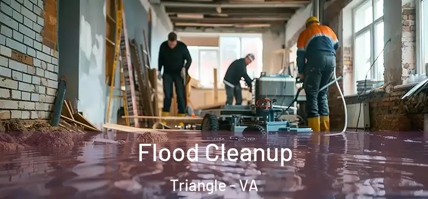  Flood Cleanup Triangle - VA