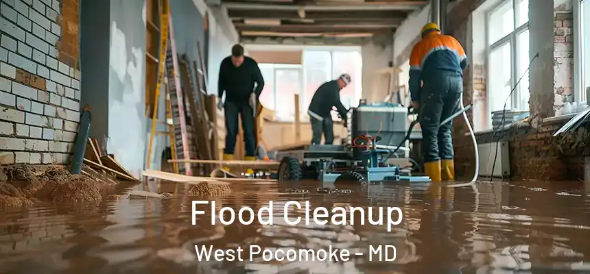 Flood Cleanup West Pocomoke - MD