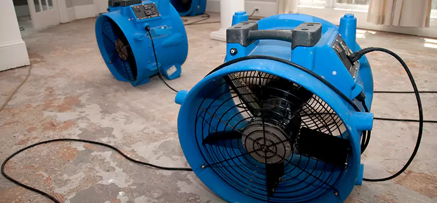 Sewage Removal Services in Joppatowne