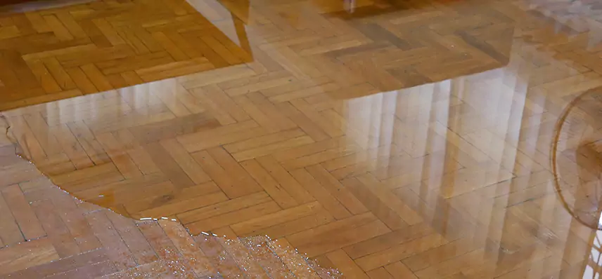 Laminate Wood Floor Water Damage Repair in Joppatowne