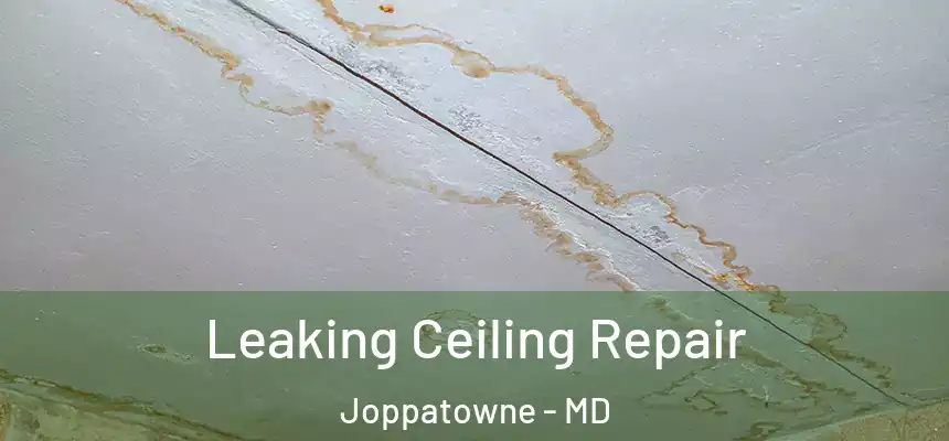 Leaking Ceiling Repair Joppatowne - MD