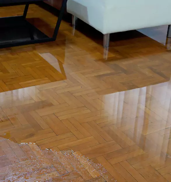 Trusted Emergency Water Restoration Company in Joppatowne, MD