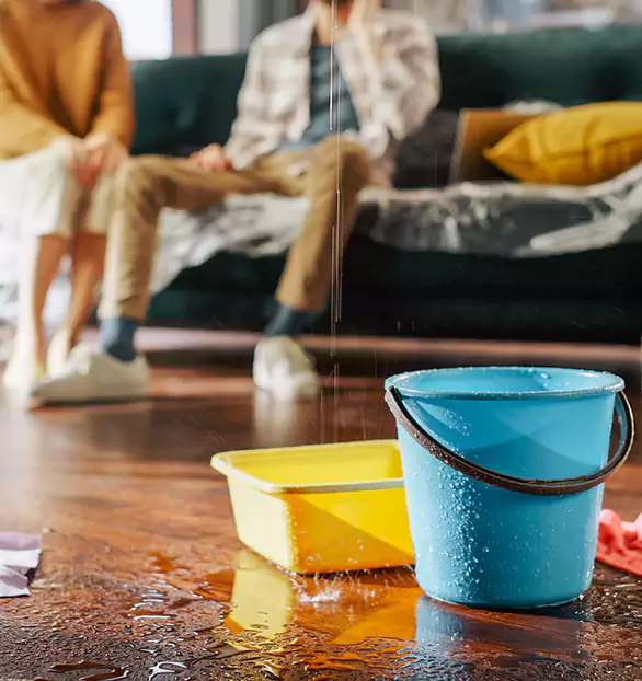 Trusted Water Remediation Company in Joppatowne, MD