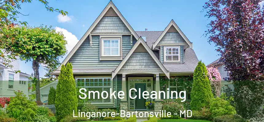  Smoke Cleaning Linganore-Bartonsville - MD