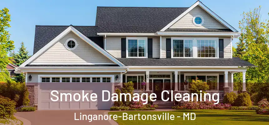  Smoke Damage Cleaning Linganore-Bartonsville - MD