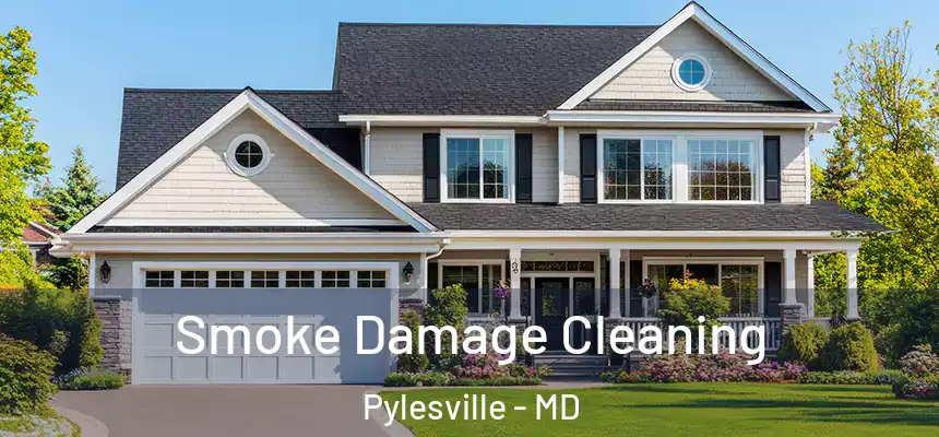  Smoke Damage Cleaning Pylesville - MD