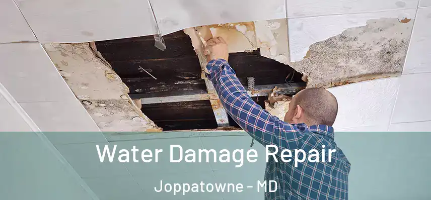 Water Damage Repair Joppatowne - MD