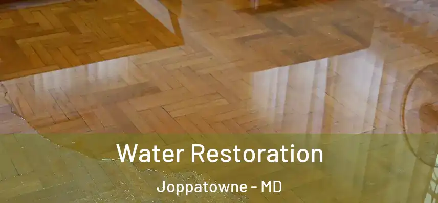  Water Restoration Joppatowne - MD